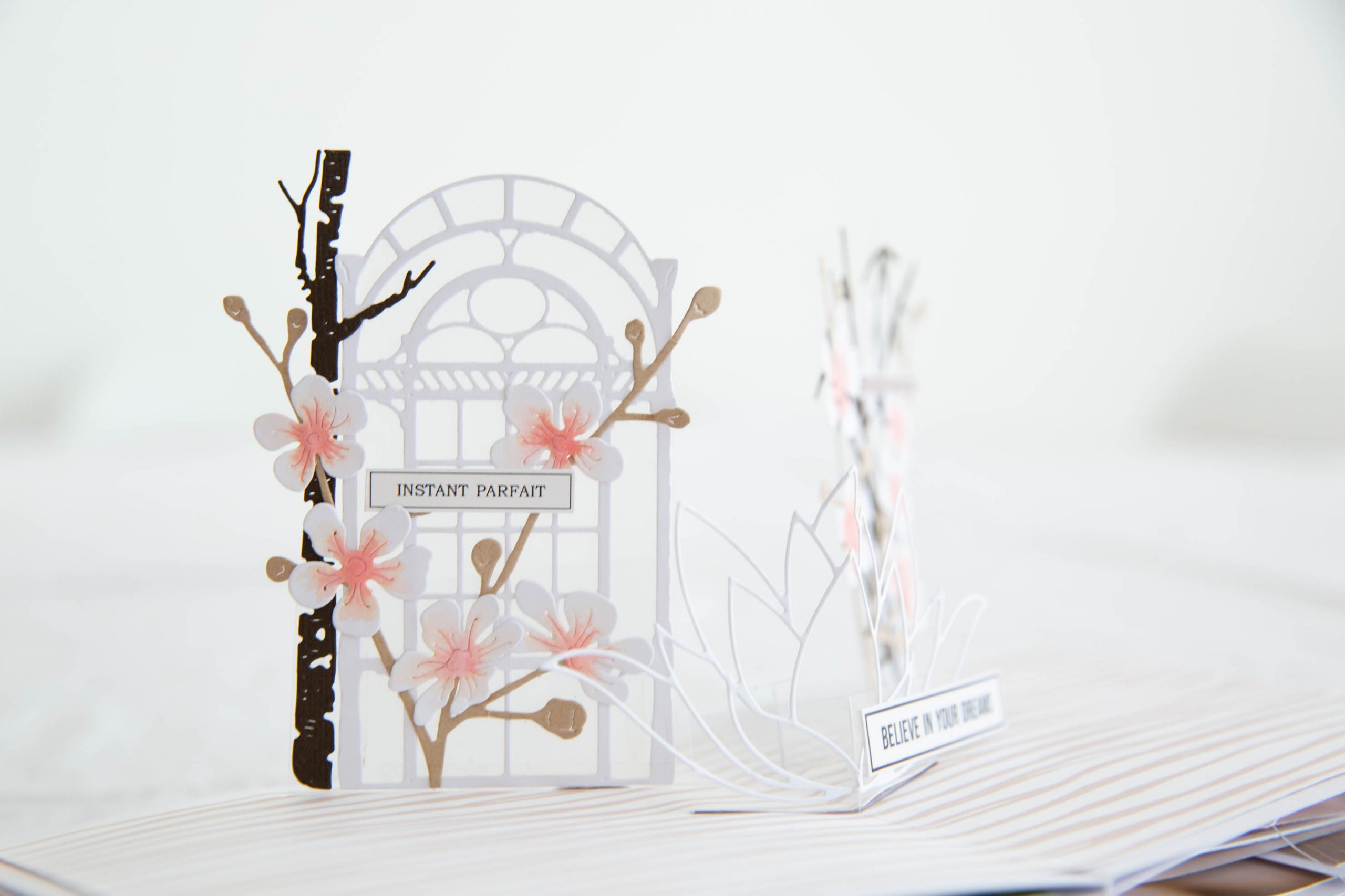 Projet Harmonie-37